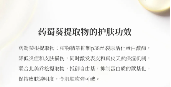 药蜀葵提取物的功效