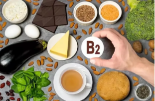 含有维生素B2的食物