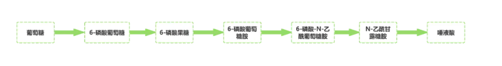 唾液酸体内合成过程图