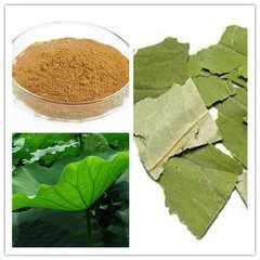 荷叶的产物——荷叶碱