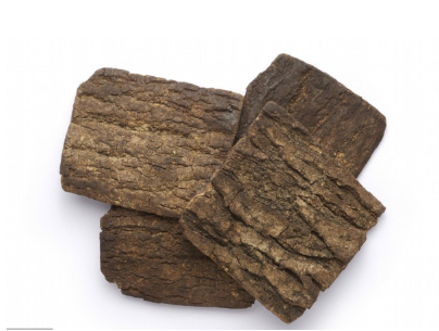 Eucommia ulmoides