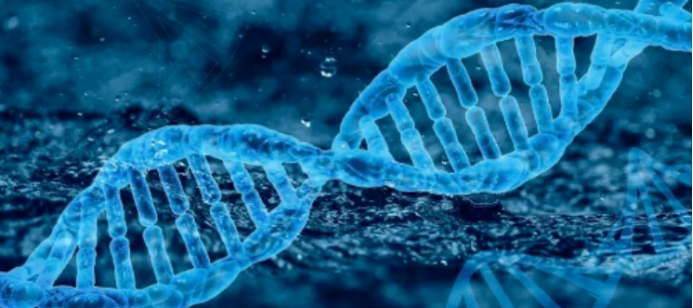 画面呈现着携带着生命遗传信息的蓝紫色 DNA 双螺旋结构