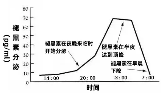 昼夜节律性