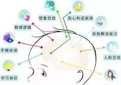 神经酸促进大脑发育