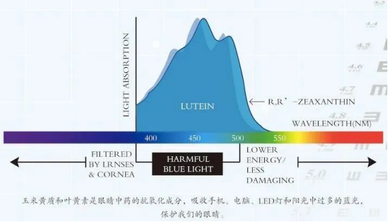 玉米黄质与叶黄素互补