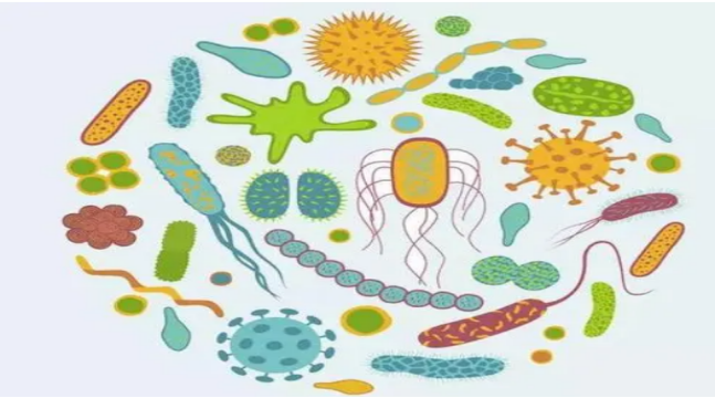 A cartoon of microbes