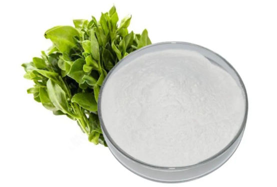 Andrographolide