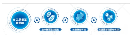 NAG可以通过调节肠道菌群治疗肠易激综合征,改善肠道环境,改善腹部脂肪和体脂