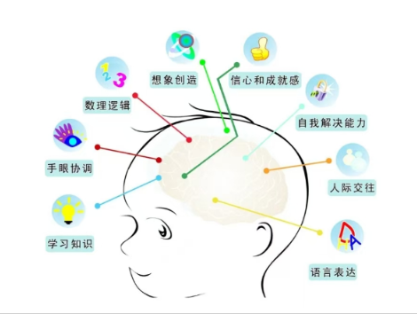 神经酸促进大脑发育