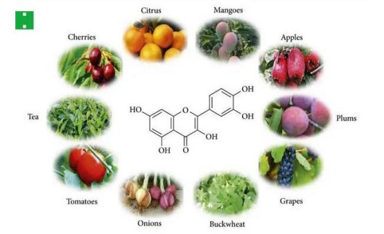 ome foods with a relatively high quercetin content