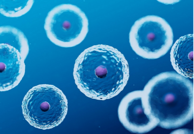 DNA repair effect of NAD+