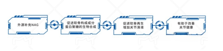 外源补充NAG怎么治疗关节炎